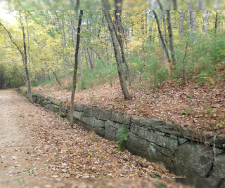 SNETT, Bernadette Rivard