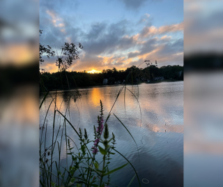 Sunset over a pond