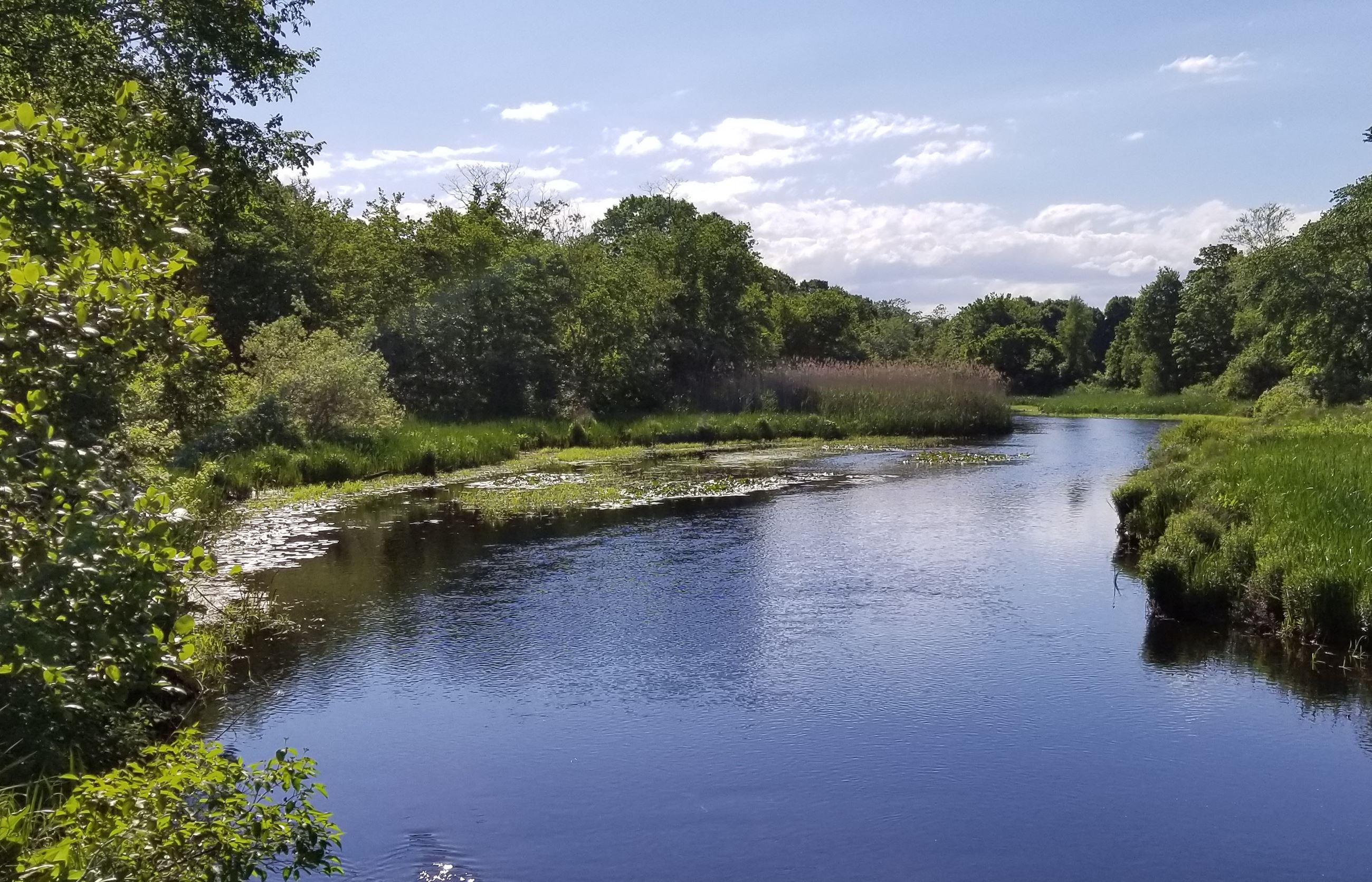 south_river_in_marshfield__2 (1)