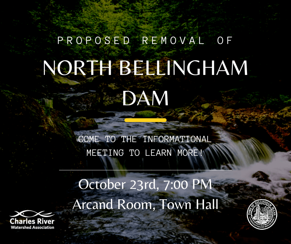 North Bellingham Dam