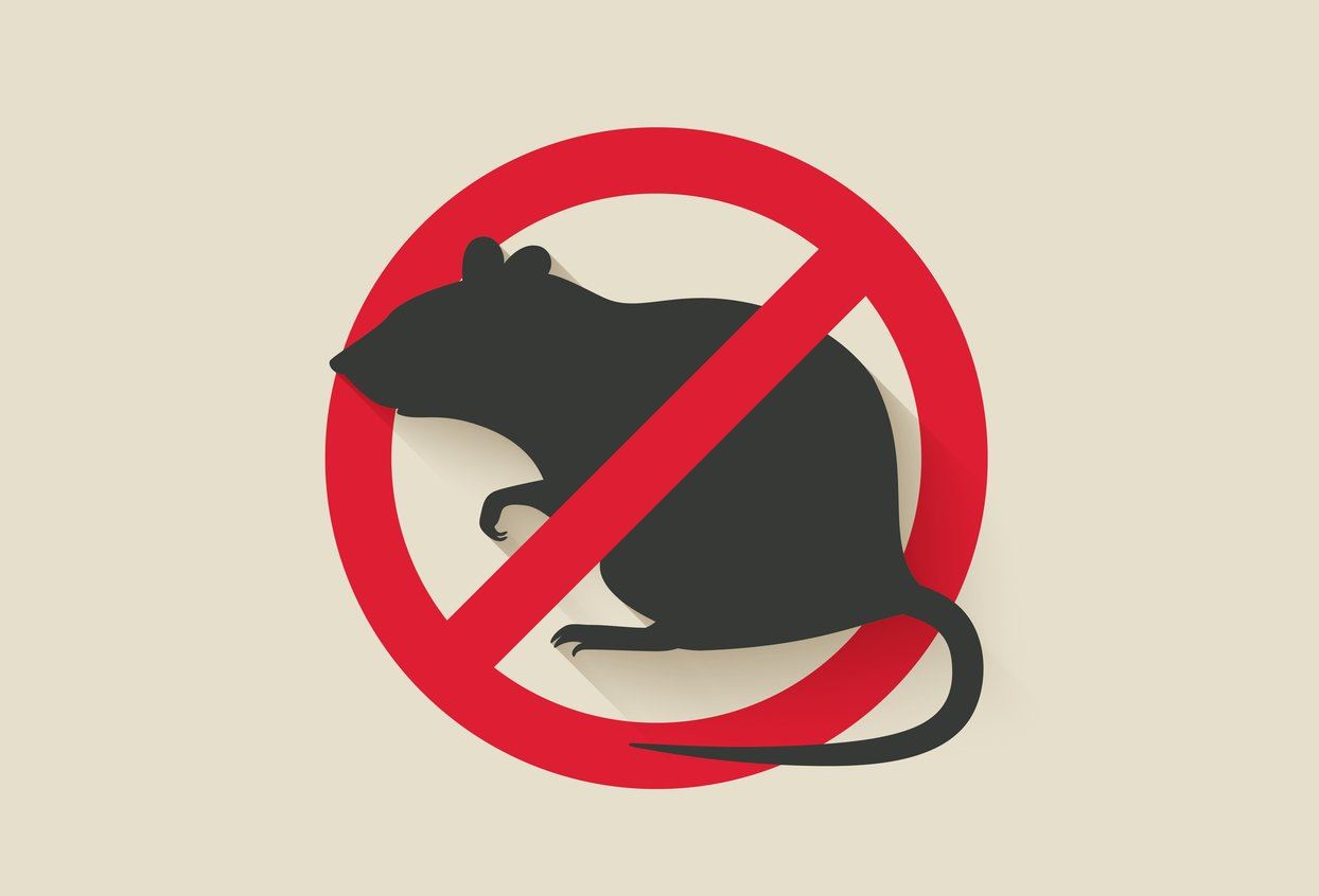 rodent-control-tips