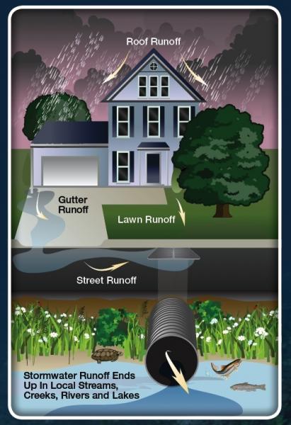 Stormwater runoff ends up in local streams, creeks, rivers, and lakes. 
