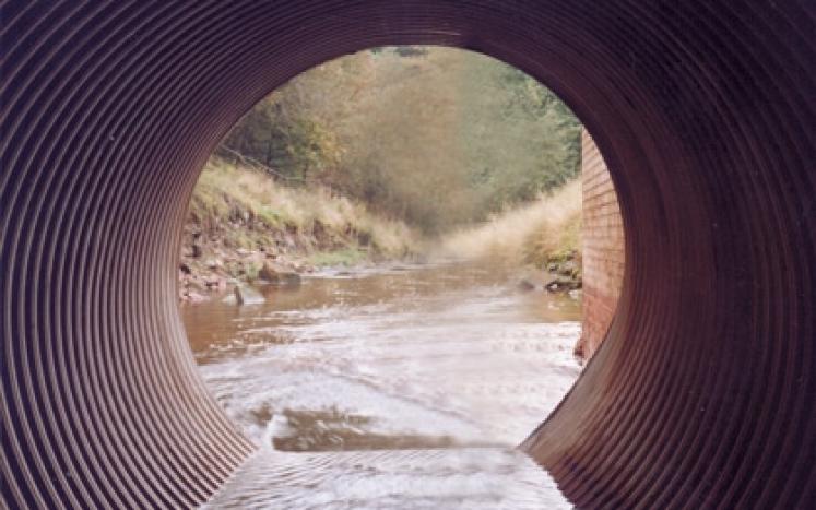 Drain Pipe Outfall - Inside looking Out